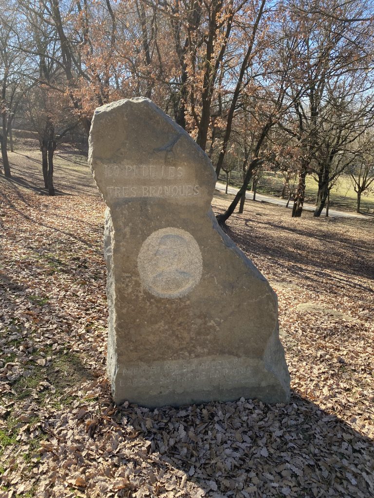El Pi de les tres branques