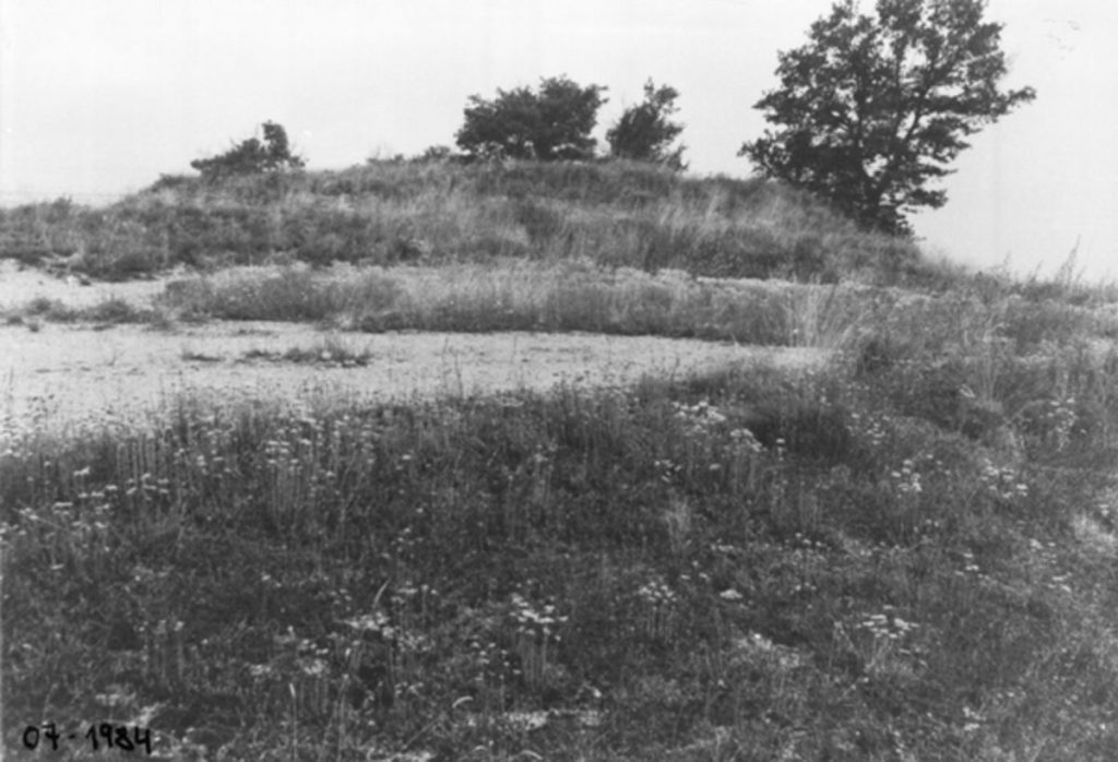 Jaciment del Turó de les Mentides