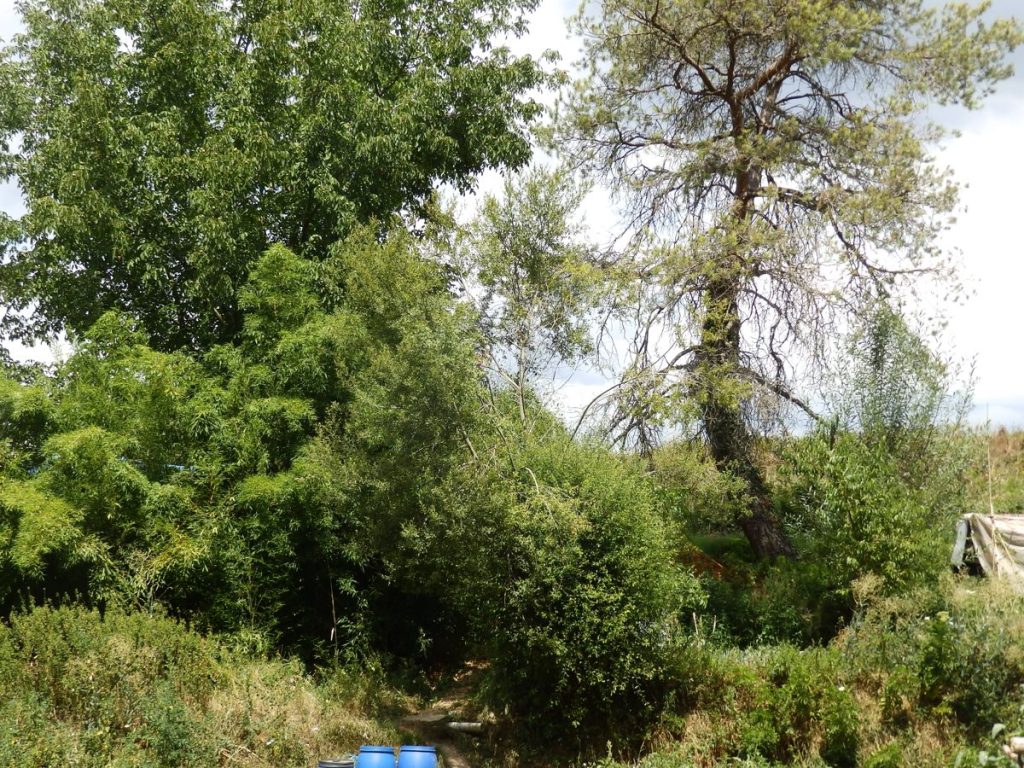 Font del Molí